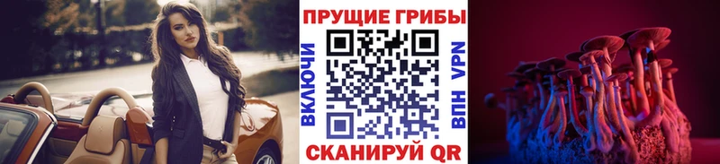 мориарти как зайти  дарнет шоп  блэк спрут как зайти  Жигулёвск  Галлюциногенные грибы GOLDEN TEACHER 
